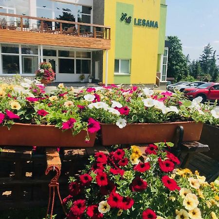 Hotel Lesana Stara Lesna Exterior photo